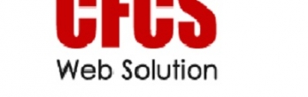 Computer Frontline Consultancy Services (CFCS Noida)